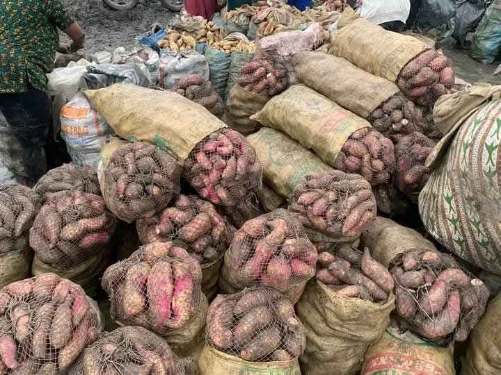 Sweet Potatoes
